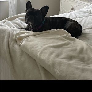 Meet your Posher, Tara